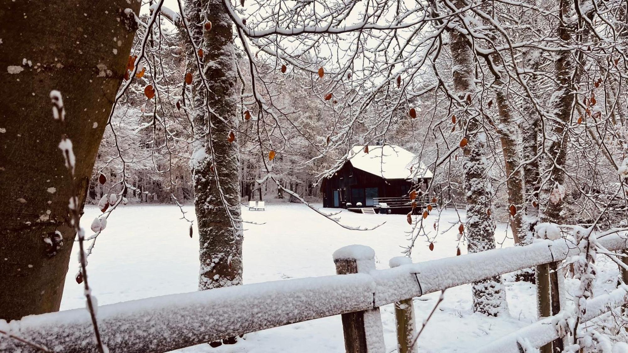 La Cabane D'Amae Marche-en-Famenne Dış mekan fotoğraf